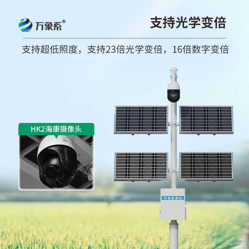 苗情災情監控系統：這套系統怎樣給每株苗做全身體檢？