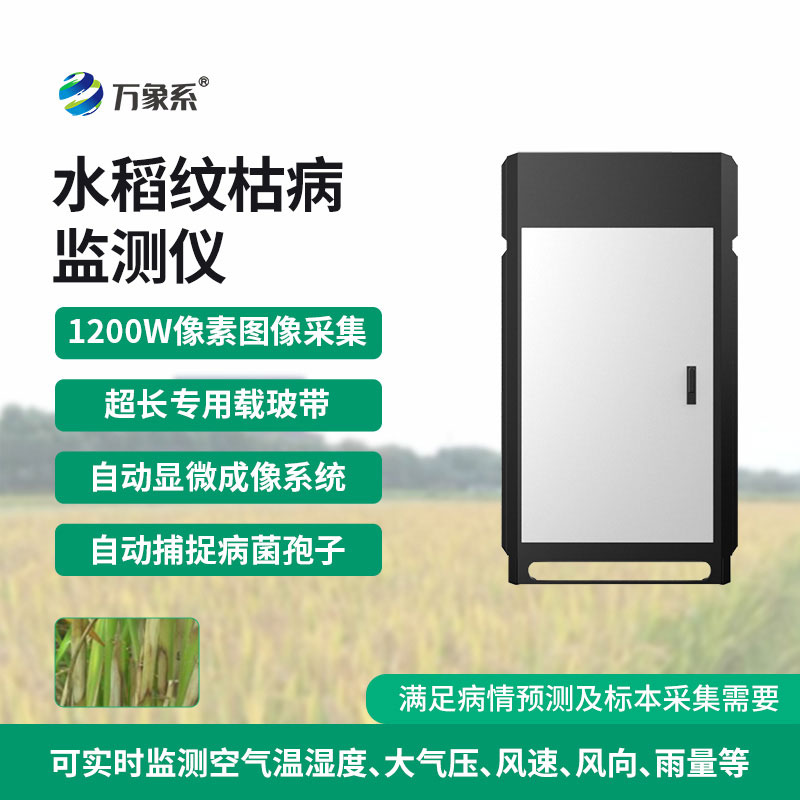 紋枯病測報儀上線，提前捕捉病害信號，守護糧食作物安全